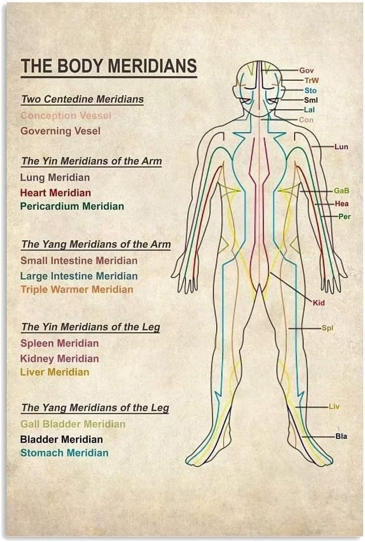 Home Gym Guide - Vintage-Metallschilder „The Body Meridians Guide“, Retro-Poster