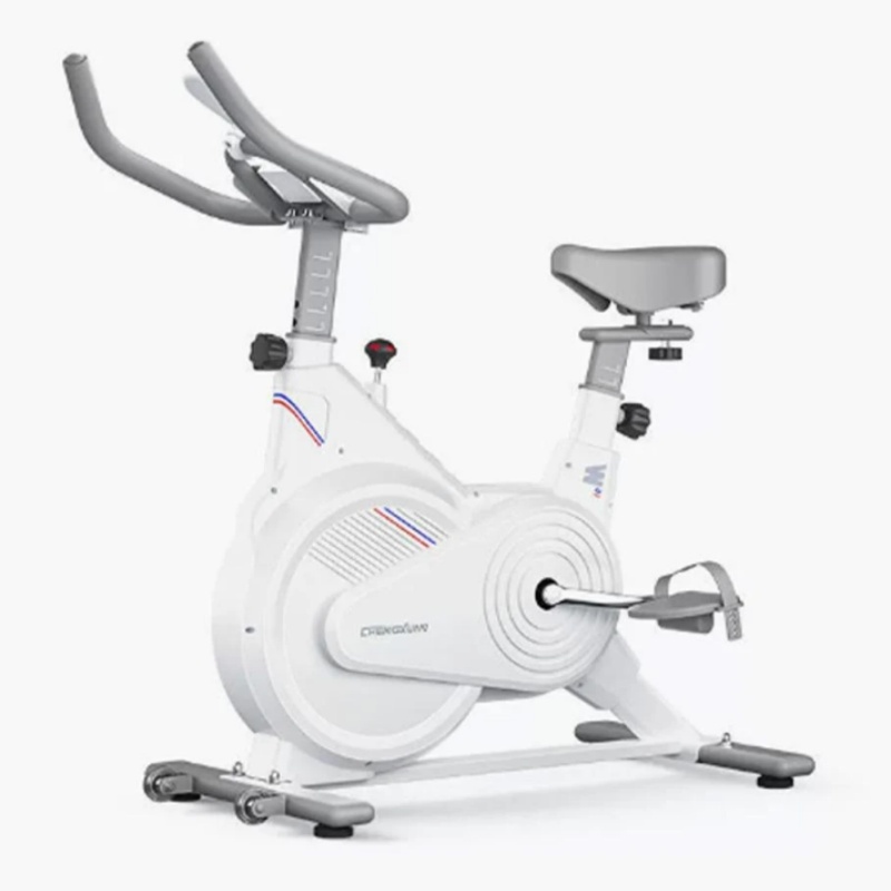 Home Gym Necessities - Stationäres Indoor-Spin-Bike, Geräuscharmes Magnetwiderstand-Trainingsfahrrad mit LCD-Monitor,