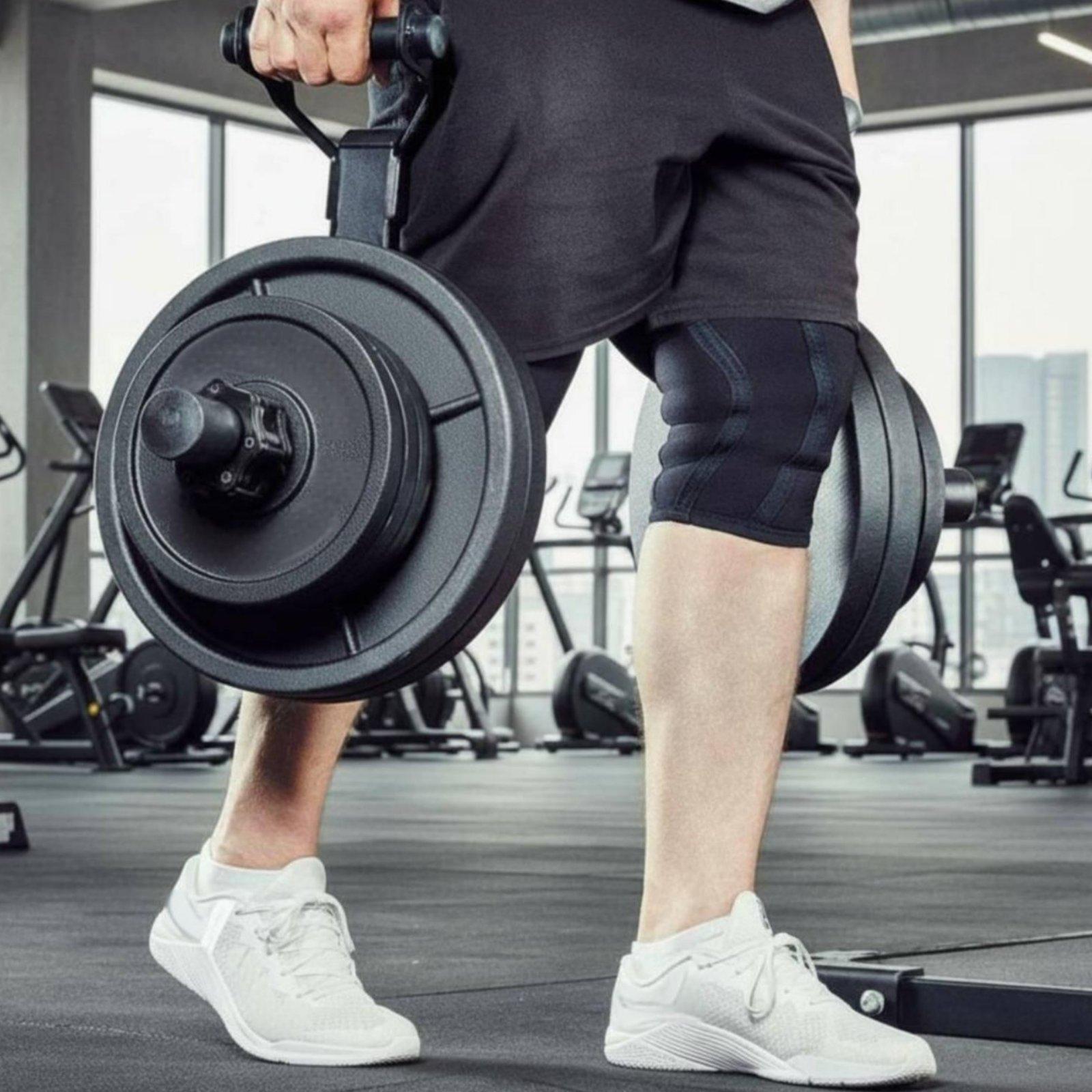 Mehrgrößen-Hantelscheibenhalte – Home Gym Gym Bewertung und Preis