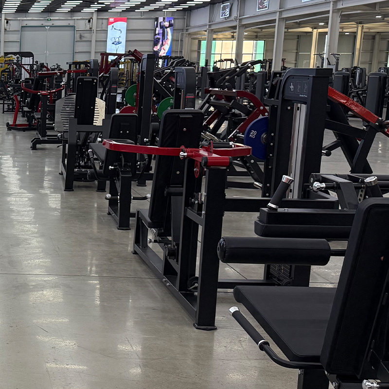 Multifunktionales Stahl-Kraftt – Home Gym Multi Bewertung und Preis