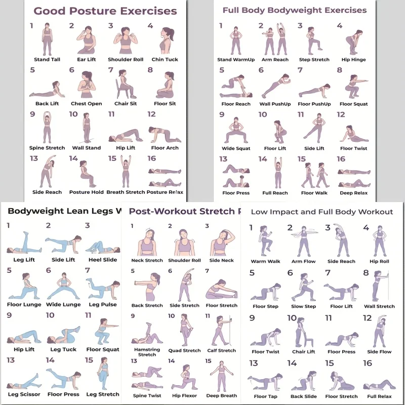 5-teiliges Workout-Leitfaden-S – Home Gym Guide Bewertung und Preis