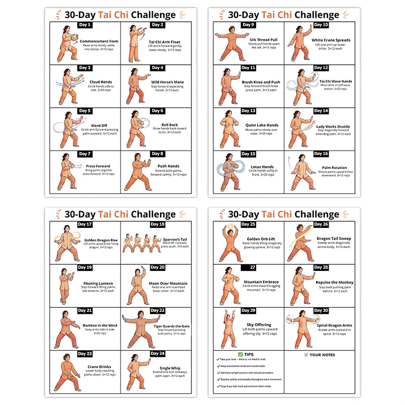4 Stück 30-Tage-Tai-Chi-Challe – Home Gym Reviews Bewertung und Preis