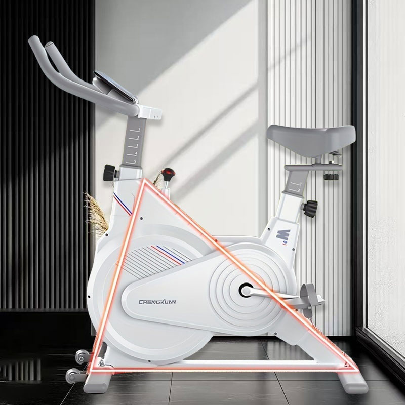 Stationäres Indoor-Spin-Bike,  – Home Gym Necessities Bewertung und Preis