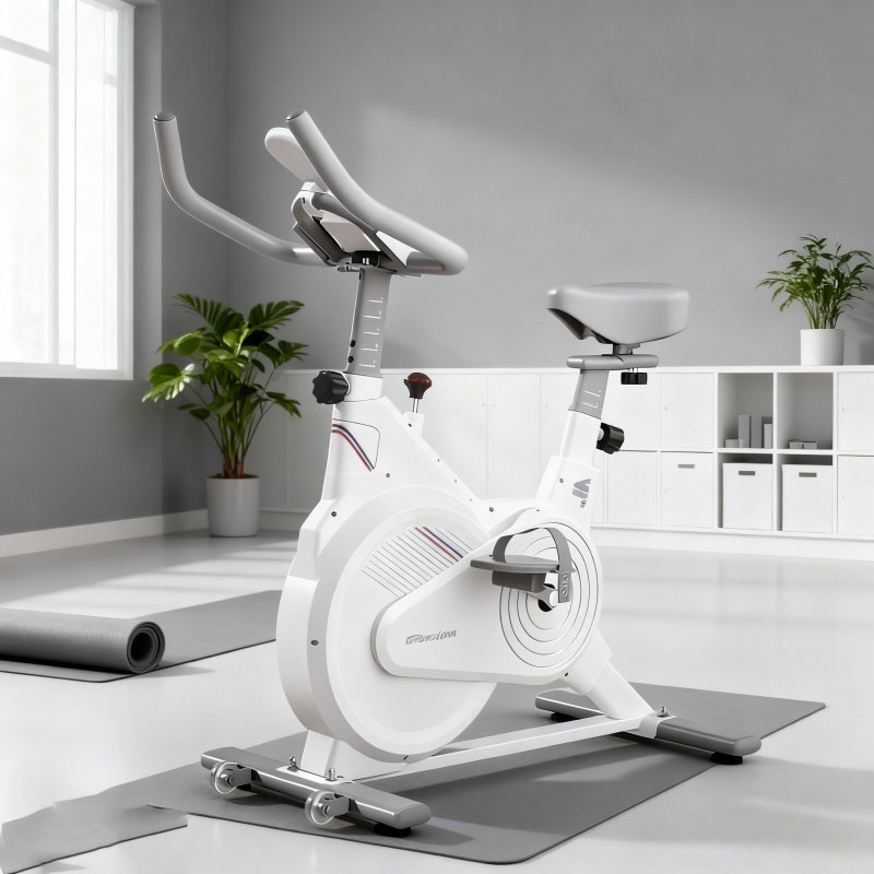 Stationäres Indoor-Spin-Bike,  – Home Gym Necessities Bewertung und Preis