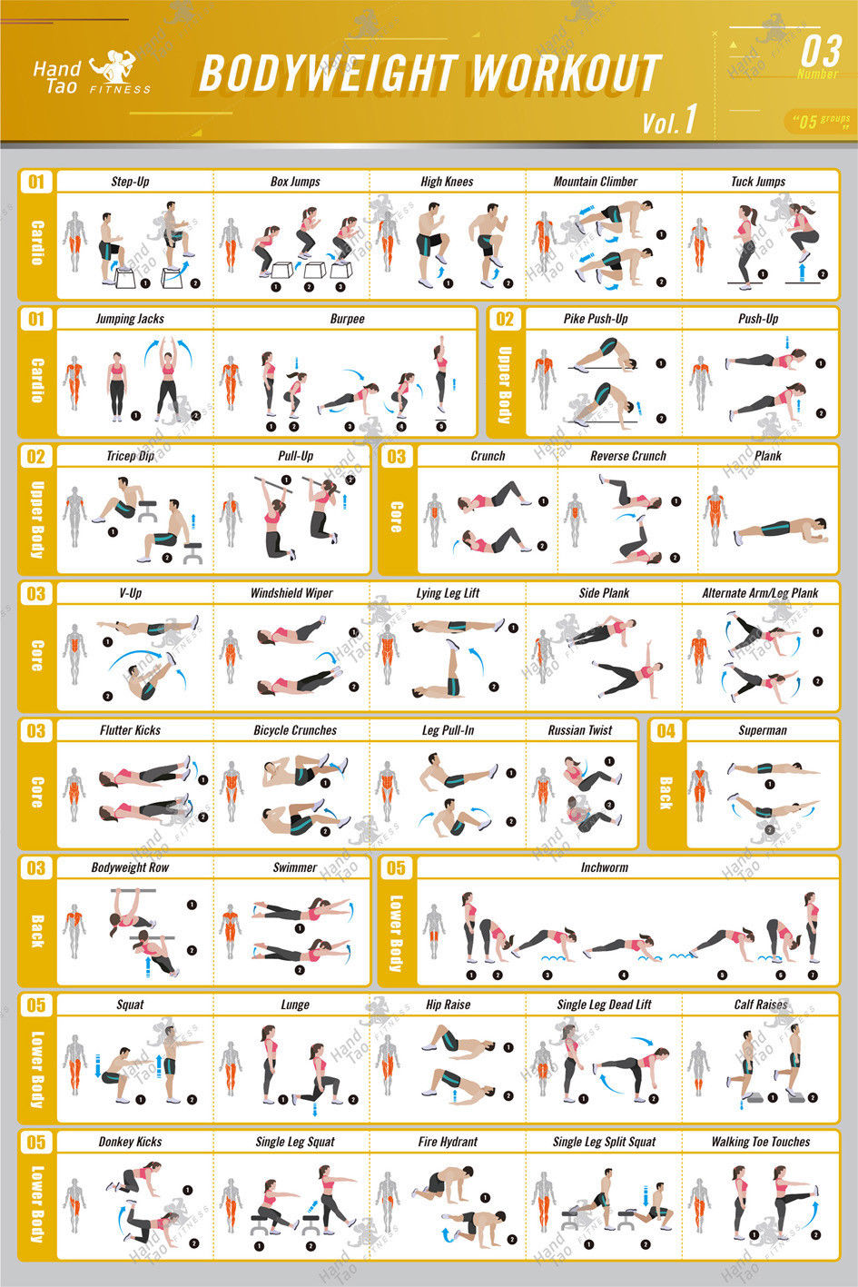 Bodyweight-Workout, Übungen, B – Home Gym Guide Bewertung und Preis